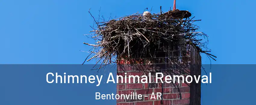 Chimney Animal Removal Bentonville - AR