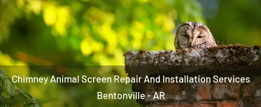  Chimney Animal Screen Repair And Installation Services Bentonville - AR