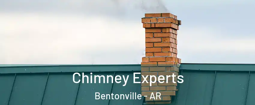Chimney Experts Bentonville - AR