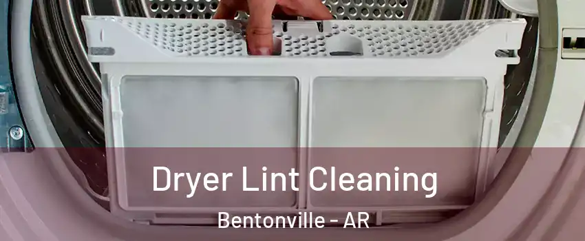  Dryer Lint Cleaning Bentonville - AR