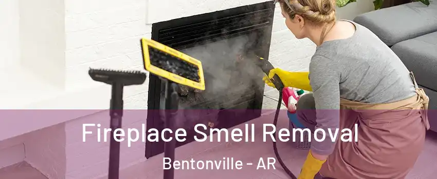  Fireplace Smell Removal Bentonville - AR