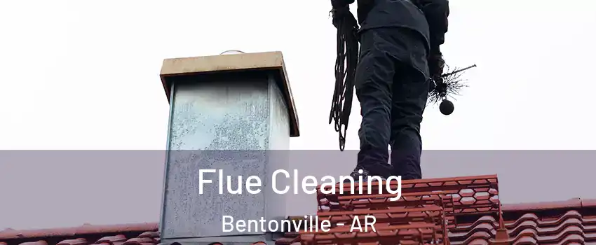  Flue Cleaning Bentonville - AR