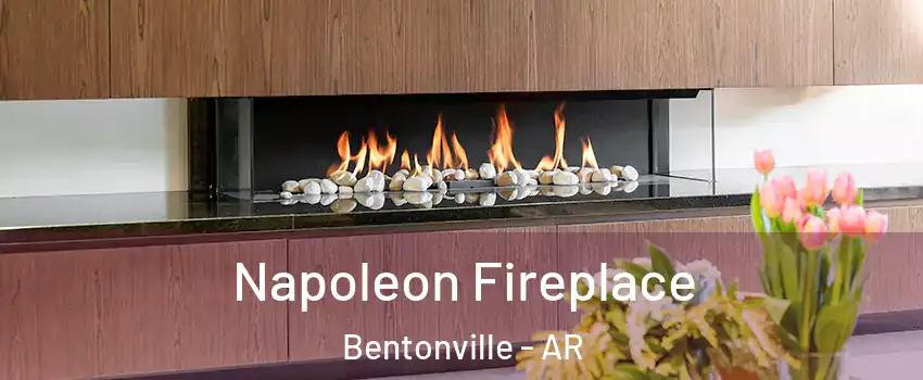  Napoleon Fireplace Bentonville - AR